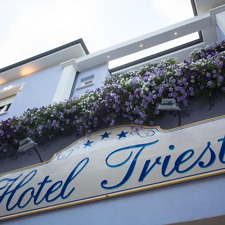 酒店 Trieste 3*